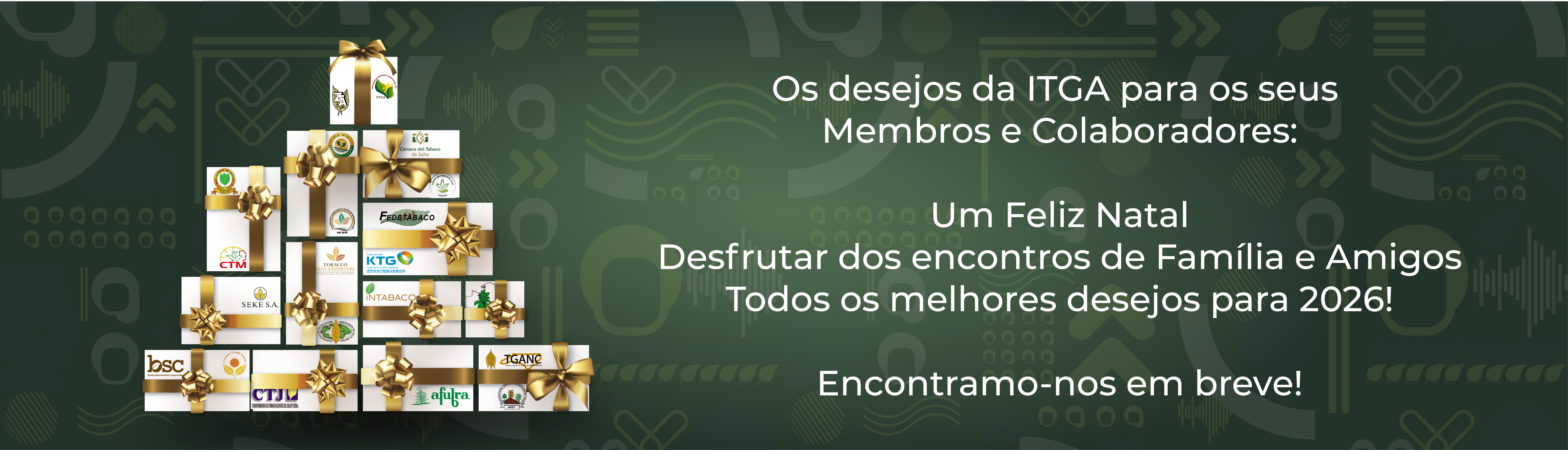 Christmas 2025 Banner PT